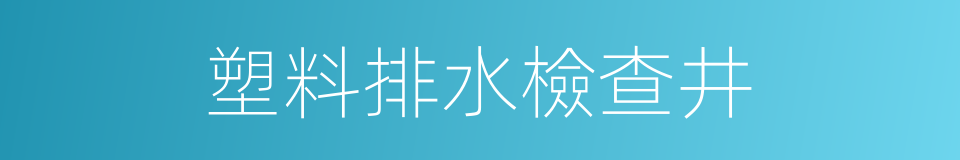 塑料排水檢查井的同義詞