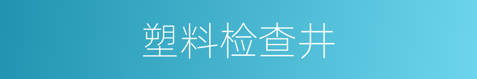 塑料检查井的同义词