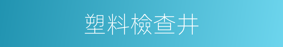 塑料檢查井的同義詞