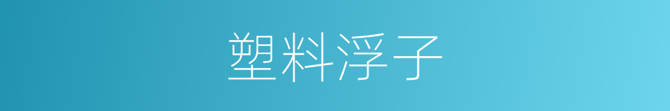 塑料浮子的同义词