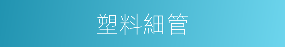 塑料細管的同義詞