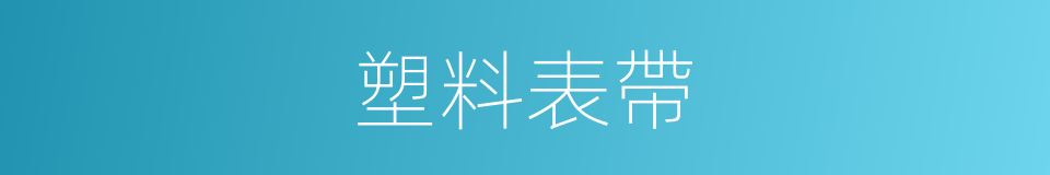 塑料表帶的同義詞
