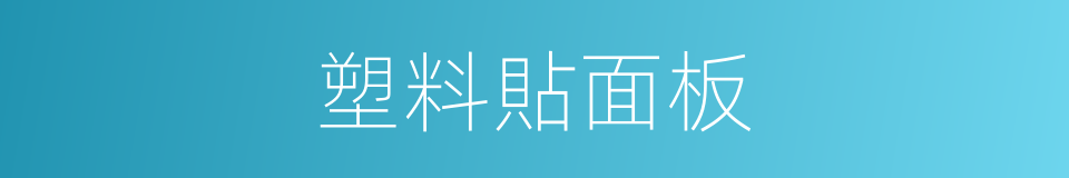 塑料貼面板的同義詞