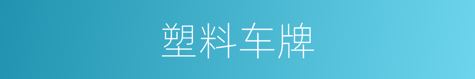 塑料车牌的同义词