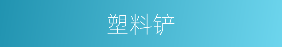 塑料铲的同义词