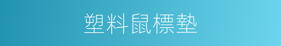 塑料鼠標墊的同義詞