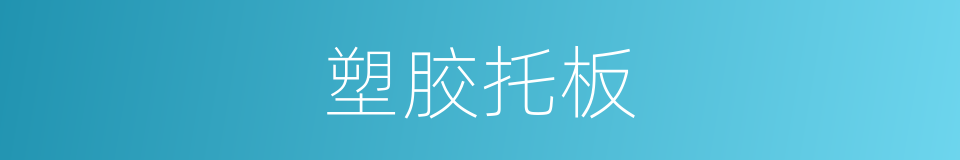 塑胶托板的同义词