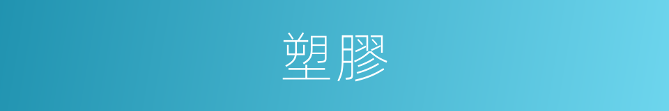 塑膠的意思