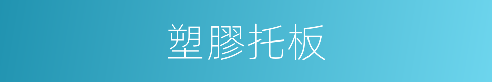塑膠托板的同義詞