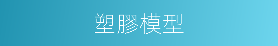 塑膠模型的同義詞