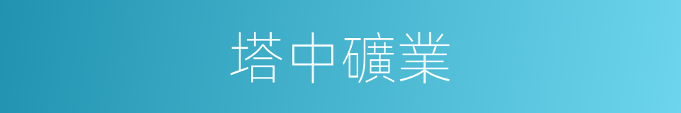 塔中礦業的同義詞