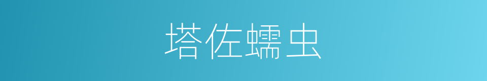 塔佐蠕虫的同义词