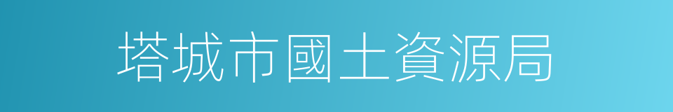 塔城市國土資源局的同義詞