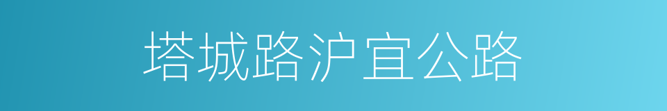 塔城路沪宜公路的同义词