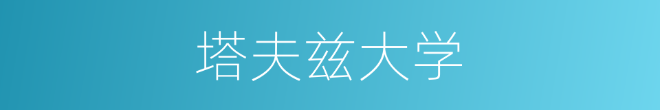 塔夫兹大学的同义词