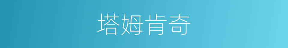 塔姆肯奇的同义词
