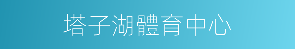 塔子湖體育中心的同義詞