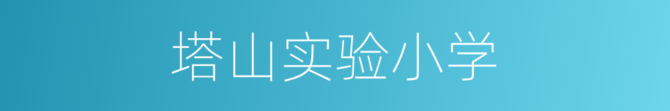 塔山实验小学的同义词