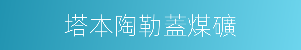 塔本陶勒蓋煤礦的同義詞