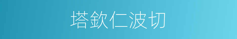 塔欽仁波切的同義詞