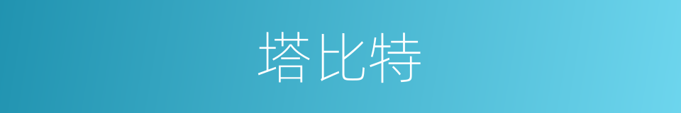塔比特的同义词