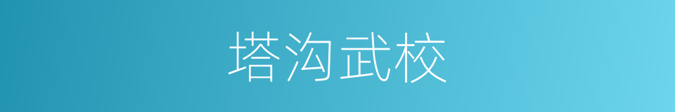 塔沟武校的同义词