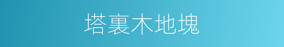 塔裏木地塊的同義詞
