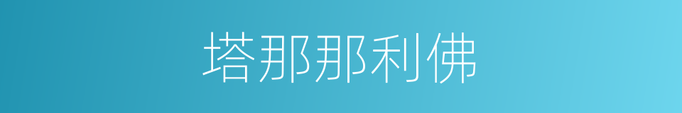 塔那那利佛的同义词