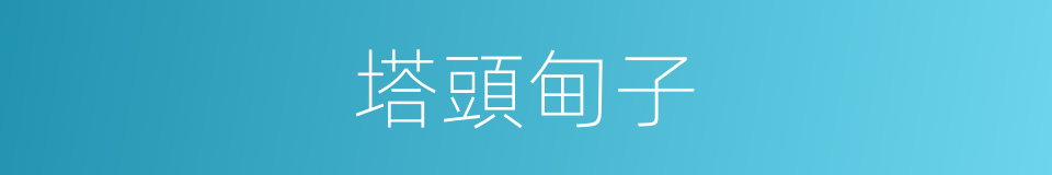 塔頭甸子的意思