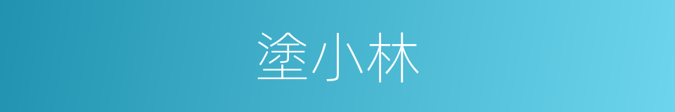 塗小林的同義詞