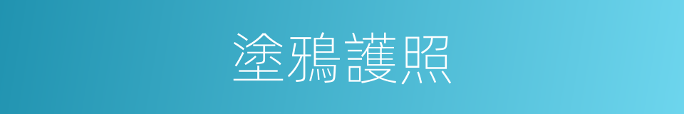 塗鴉護照的同義詞