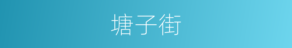 塘子街的同义词