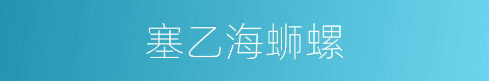 塞乙海蛳螺的同义词