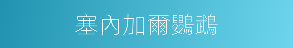 塞內加爾鸚鵡的同義詞