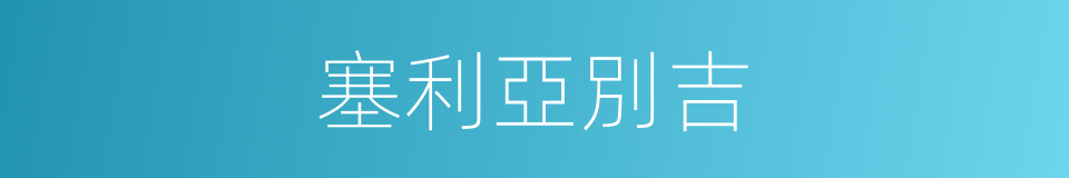 塞利亞別吉的同義詞
