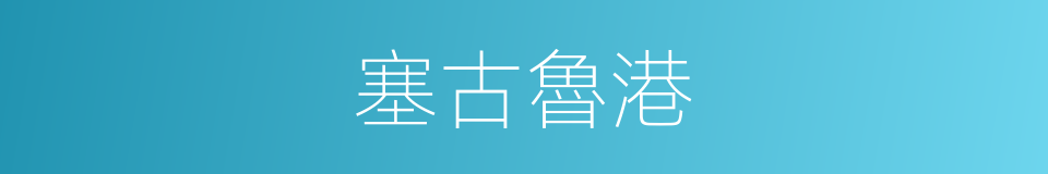 塞古魯港的同義詞