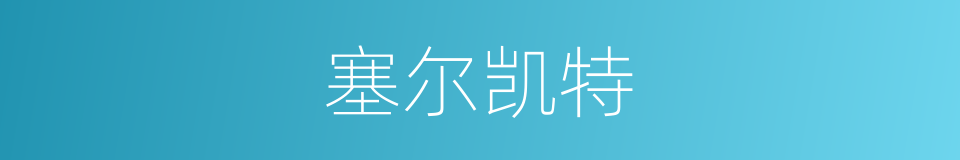 塞尔凯特的同义词