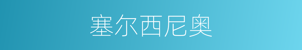 塞尔西尼奥的同义词