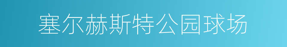 塞尔赫斯特公园球场的同义词