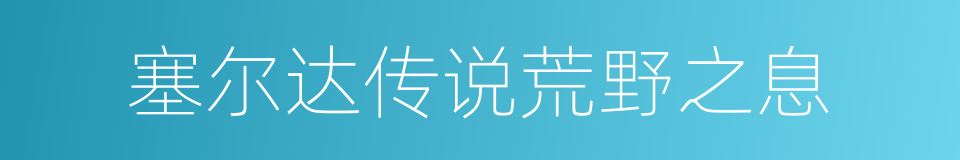 塞尔达传说荒野之息的同义词