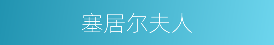 塞居尔夫人的同义词
