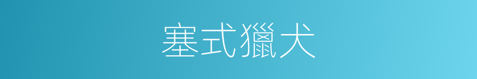 塞式獵犬的同義詞