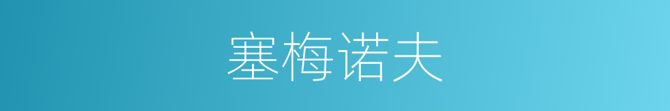 塞梅诺夫的同义词