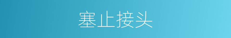 塞止接头的同义词
