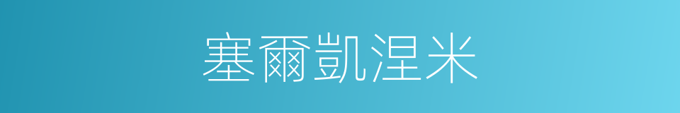 塞爾凱涅米的同義詞