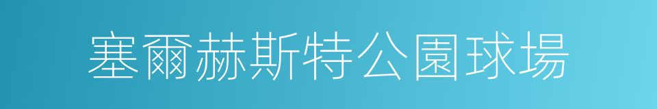 塞爾赫斯特公園球場的同義詞