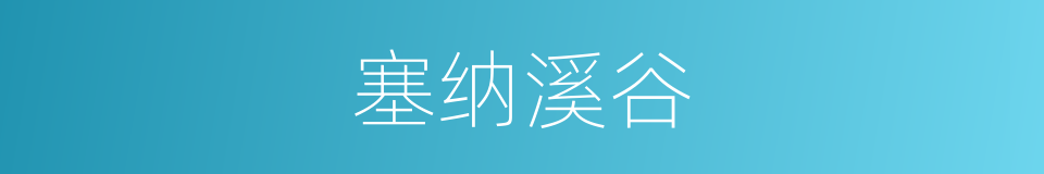 塞纳溪谷的同义词