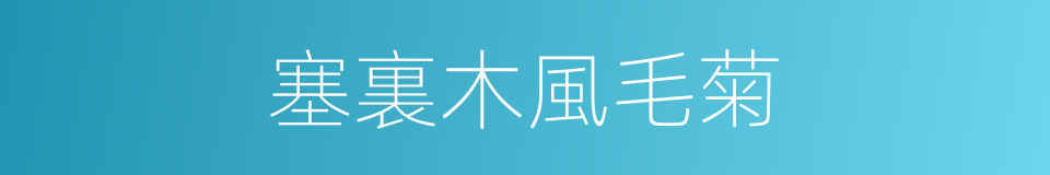塞裏木風毛菊的同義詞