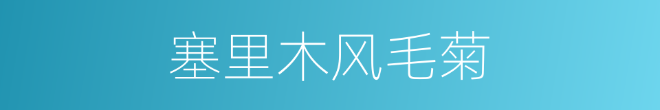 塞里木风毛菊的同义词
