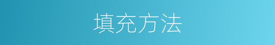 填充方法的同义词